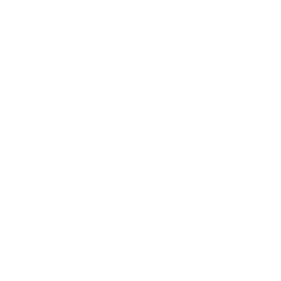 PayAi-X Logo