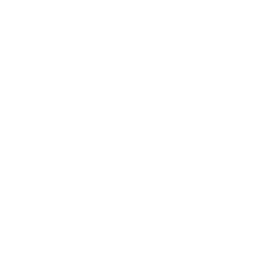 PayAi-X